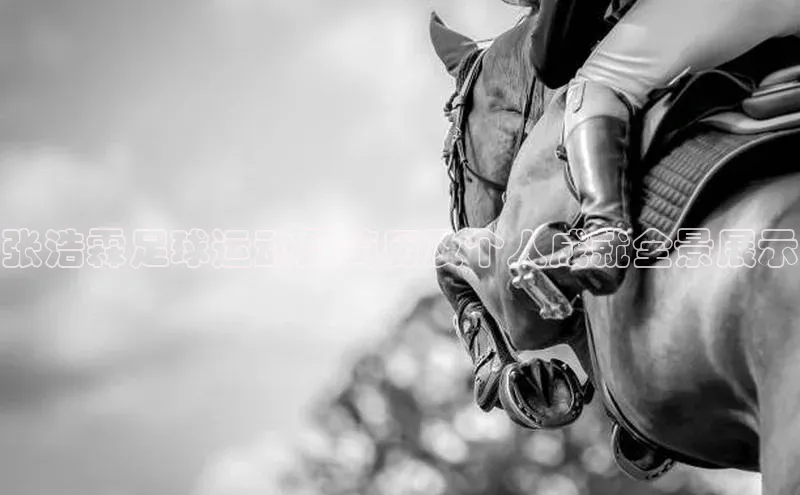 熊猫体育直播免费观看遥望科技张浩霖足球运动员简历及个人成就全景展示