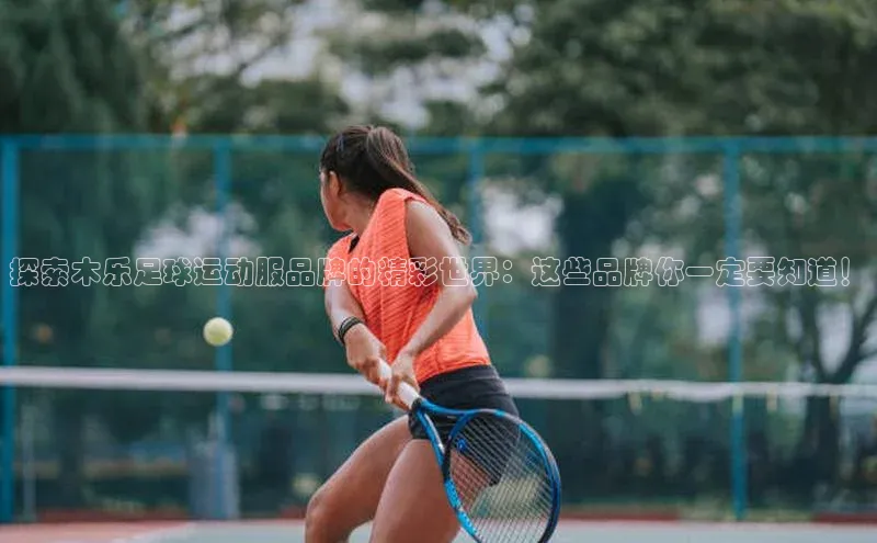 熊猫体育app安装入口汉得信息探索木乐足球运动服品牌的精彩世界：这些品牌你一定要知道！