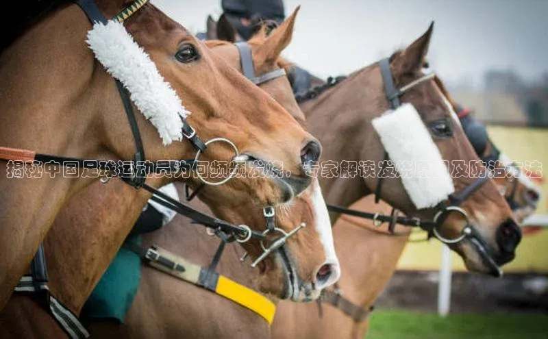 熊猫体育在线直播免费每日互动揭秘中国足球运动员为何频频发烧，专家解读发烧原因及防治方法