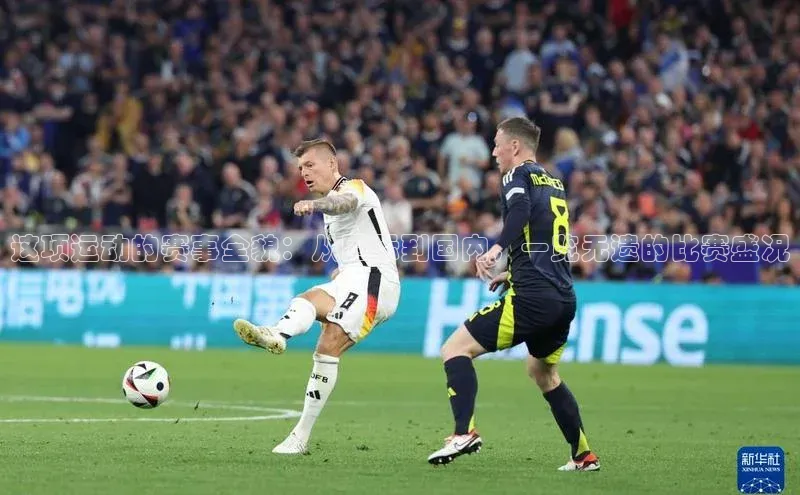 这项运动的赛事全貌：从国际到国内，一览无遗的比赛盛况