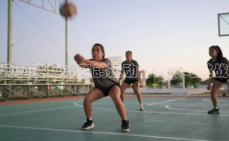 飞越赛场：赛鸽运动的荣耀与挑战