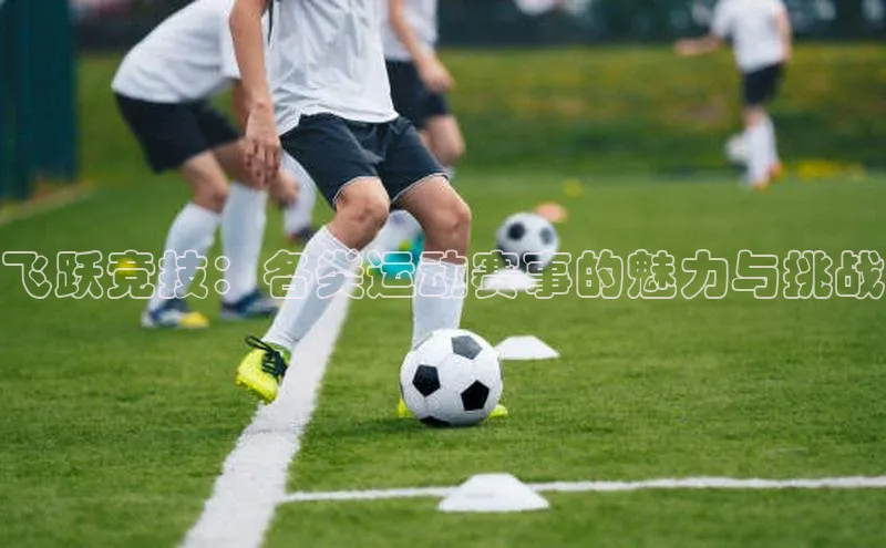 飞跃竞技：各类运动赛事的魅力与挑战