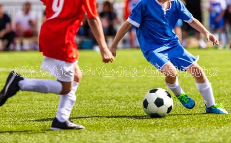 《激情赛场：CCTV运动赛事的记录与见证》