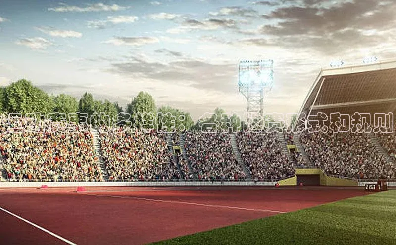 运动赛事的多样性：各种比赛形式和规则