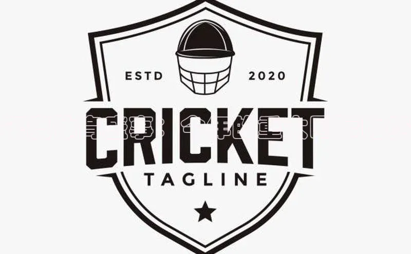 年度体育盛事：今年的重大国际比赛