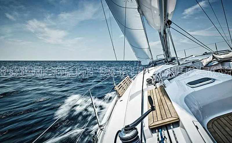 校级运动会的魅力：赛事类型、亮点与参与体验