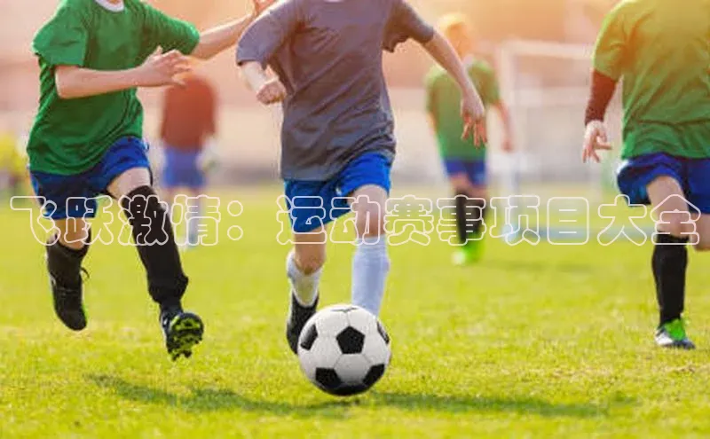 飞跃激情：运动赛事项目大全