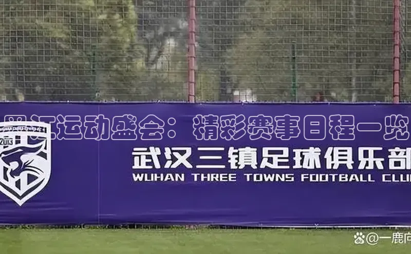 墨江运动盛会：精彩赛事日程一览