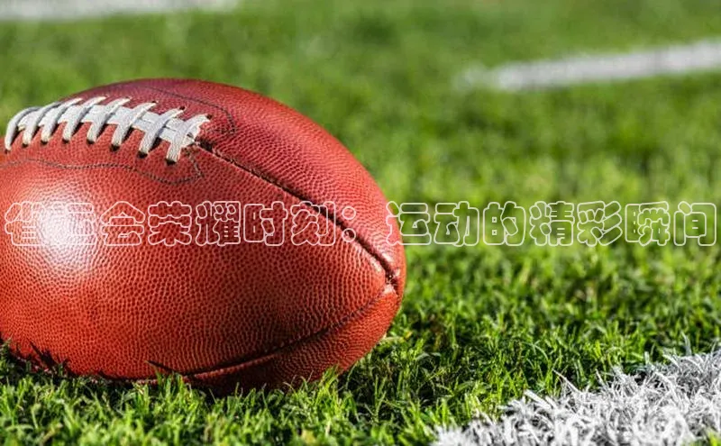 熊猫体育app官网