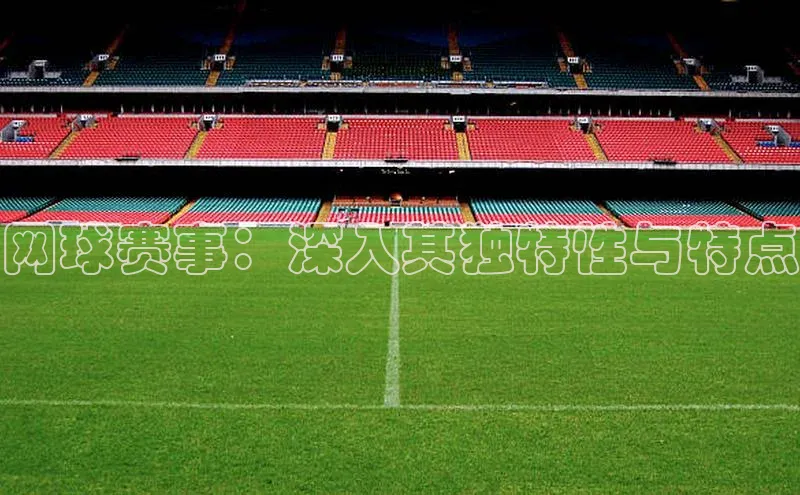 熊猫体育平台官网