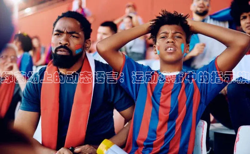 绿茵场上的动态语言：运动赛事中的指示旗