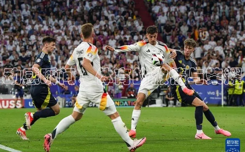 熊猫体育在线直播免费